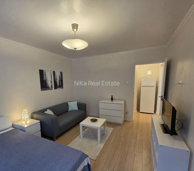 Apartament cu o camera de închiriat Banu Manta-Piata Victoriei - 3