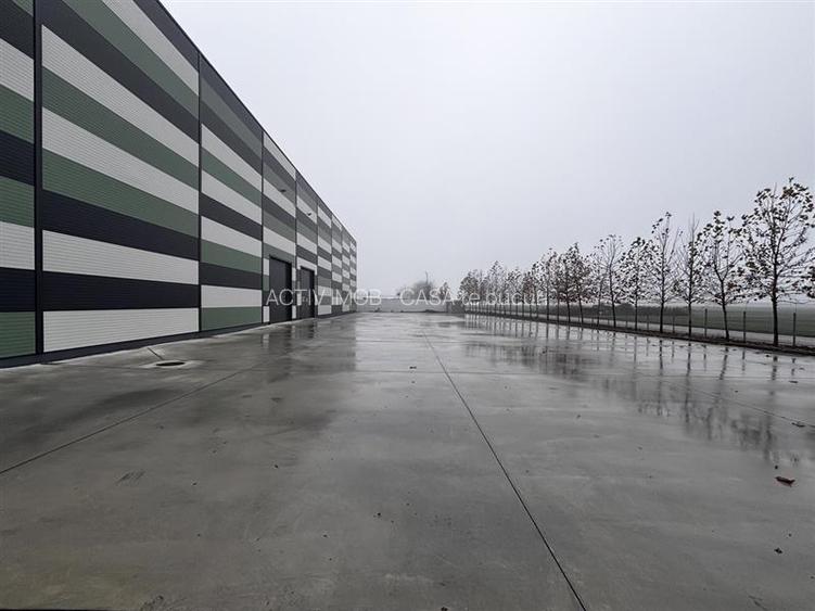 Hala Industriala Noua 2025 – 7000 mp - Acces Rapid la Autostrada - 4