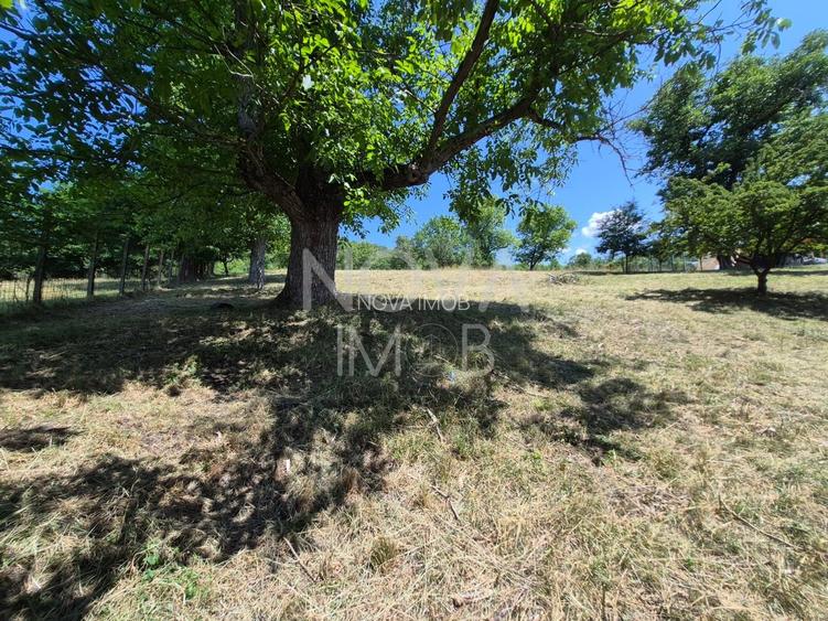 Casa individuala cu teren generos – 8.356 mp – Tichindeal, jud. Sibiu - 48