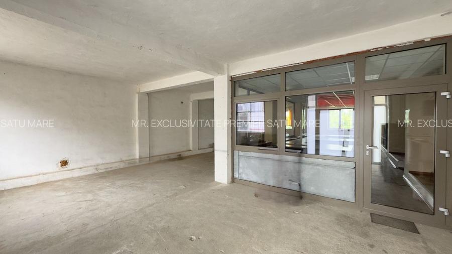Clădire Industrială Hală Producție, Depozitare, Birouri-Teren 3140 mp - Carei - 7