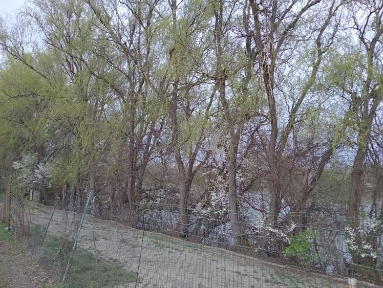 SUPER OCAZIE SE VINDE TEREN IN ZONA STARULESTI LANGA UN CARTIER DE VILE