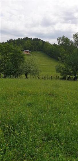 TEREN DE VANZARE 500O MP PUNCT CHETRIS CERDAC SLANIC MOLDOVA