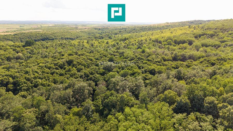 TEREN AGRICOL EXTRAVILAN  22.900 MP LIPOVA - 17