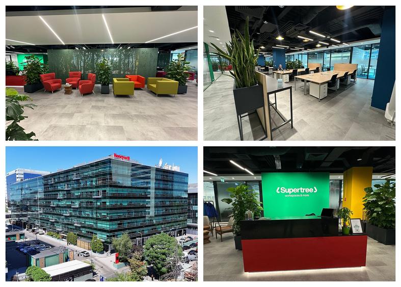 Birouri private in coworking Supertree, amenajat 2025 – metrou Dimitrie Pompeiu
