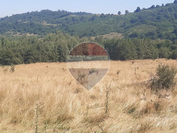 Teren extravilan-pasune, 6,300mp Rasnov / Soseaua Risnov-Paraul Rece - 8