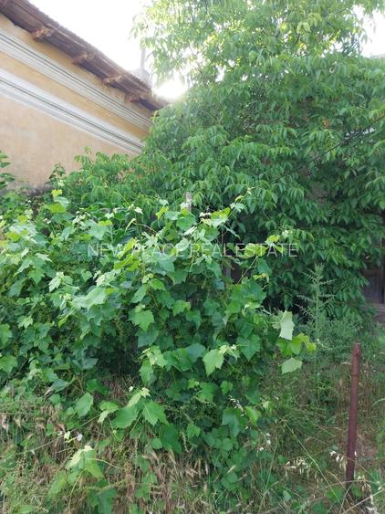 Casa 205 mp | Teren 2.379 mp | Potential comercial | Acces direct DN - 7