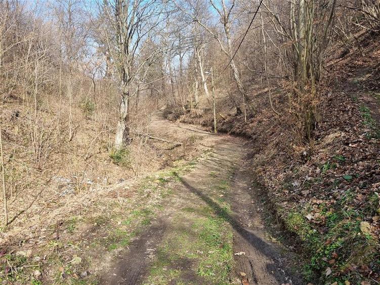 Teren arabil intravilan , priveliste mirifica , zona Schei