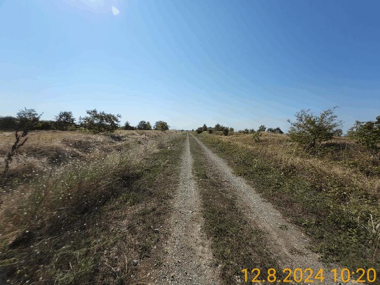Frumusani post trafo