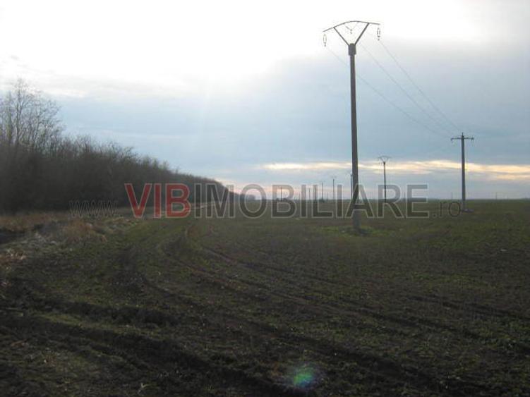 Teren cu dubla deschidere la Lac si Padure ,47 de loturi