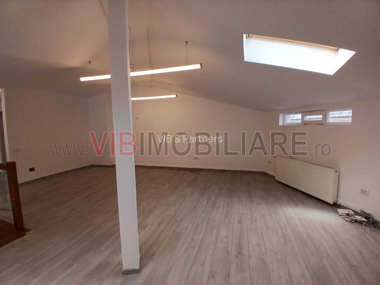 Loft spatios la Cismigiu - 7
