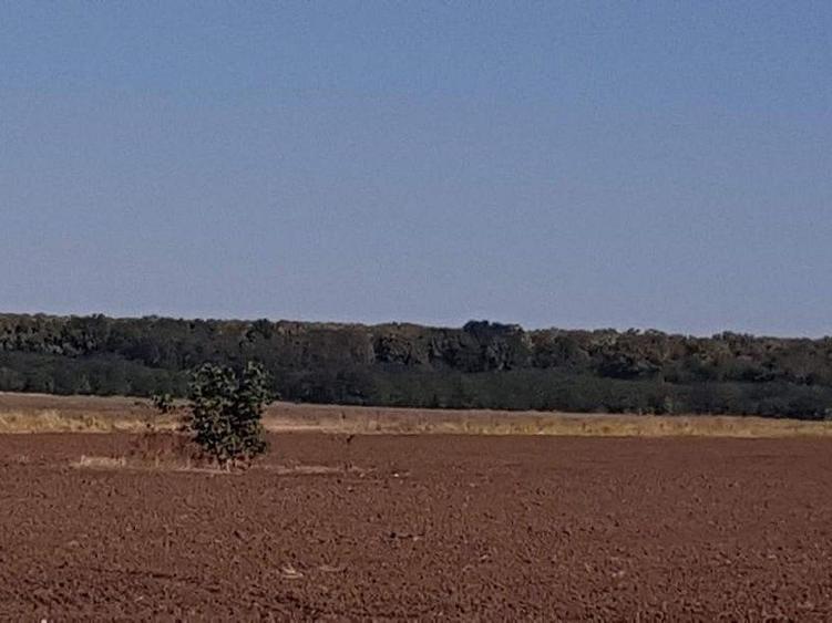 Teren intravilan de vânzare Brănești – DN3, deschidere 60 ml investie