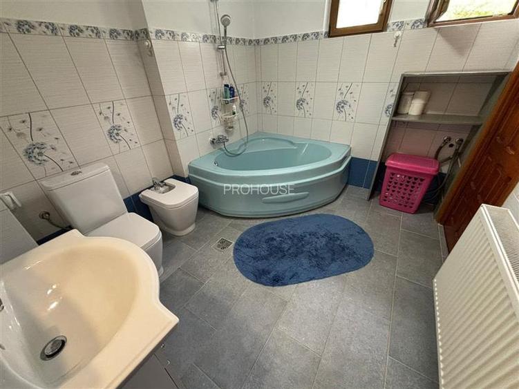VILA DEOSEBITA IN SLATINA - LUNCANI - OAZA DE LINISTE LA MARGINEA PADURII - 21