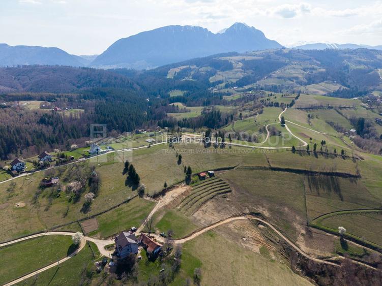 🌿 Teren Intravilan 3.791 mp | Priveliște Panoramică Superbă | Poiana Mărului - 25