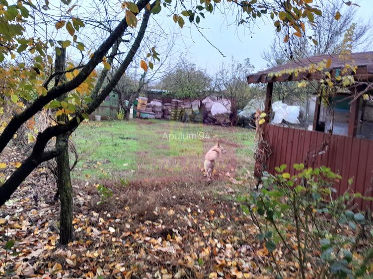 ILFOV - SE VINDE CASA IN ISLAZ / COM. BRANESTI - 46