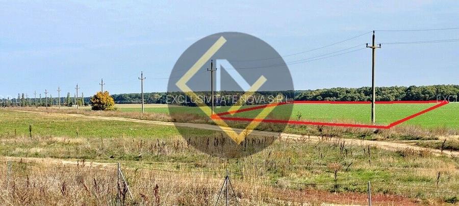 Teren 9Ha -> 16Ha Ha Intravilan , Exit A3 Snagov Ghermanesti Bucuresti-Ploiesti - 4