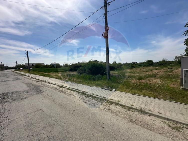 Teren 545,000mp Dragomiresti-Vale