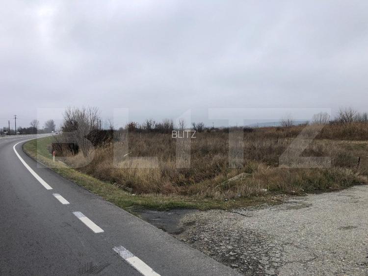 Teren intravilan industrial, 41.000 mp, front 117 m, Ișalnița - DE70 - 2