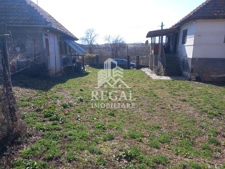 Două case de vânzare – Cerisor – teren generos 6996 mp