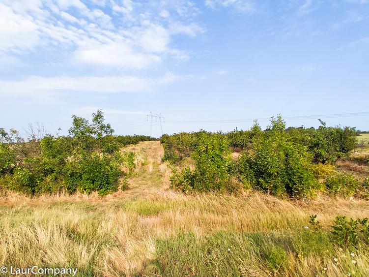 Parcele Teren Extravilan Livada si Pasune Lunca Corbului  Arges