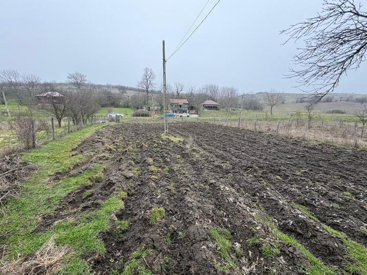 Teren 2.038 mp + Casă 50 mp de vânzare – Sat Luncsoru, Com. Ghercești