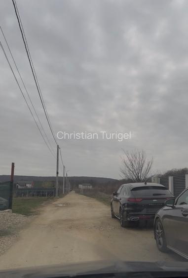 📍 Teren intravilan Premium – 538 mp | Aleea Bradului 59, Smeura – Moșoaia - 8