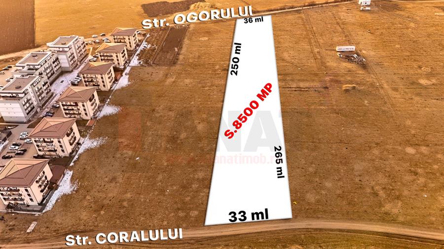 RO/EN Teren Intravilan, 8.500 mp, Turnisor, deschidere la 2 strazi |SkyView