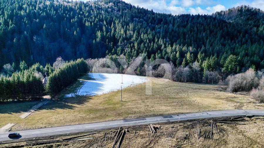 Teren extravilan 19.200 mp – DN1A Săcele, Brădet | Front stradal 130 ml