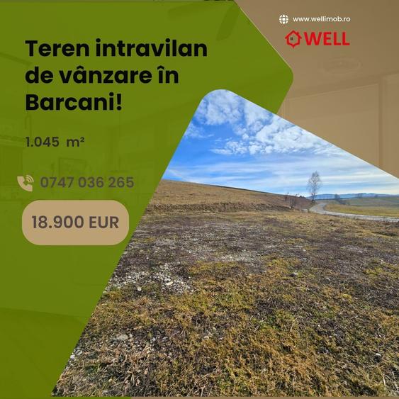 Teren intravilan de vânzare în Barcani!