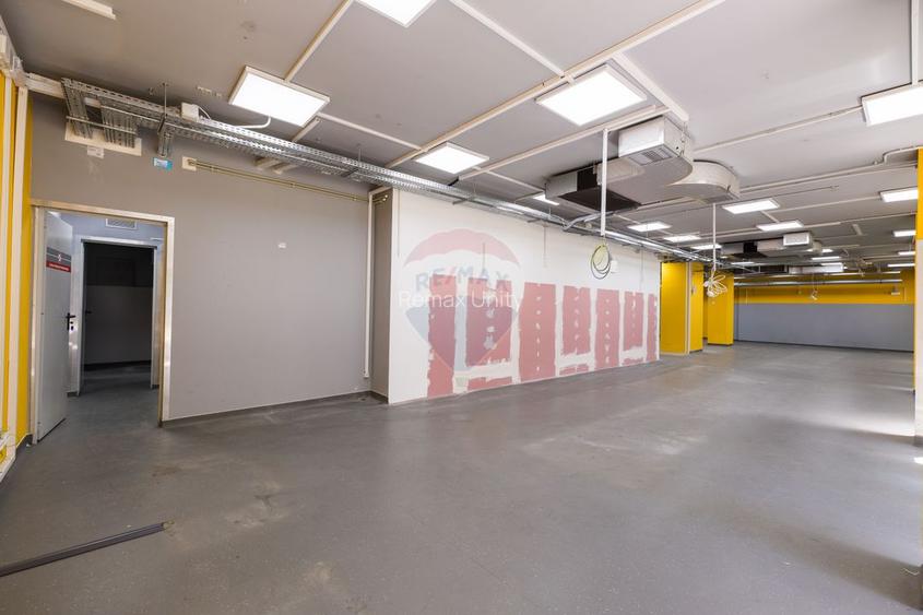SPAȚIU COMERCIAL  | 231 MP | VAD COMERCIAL - 29
