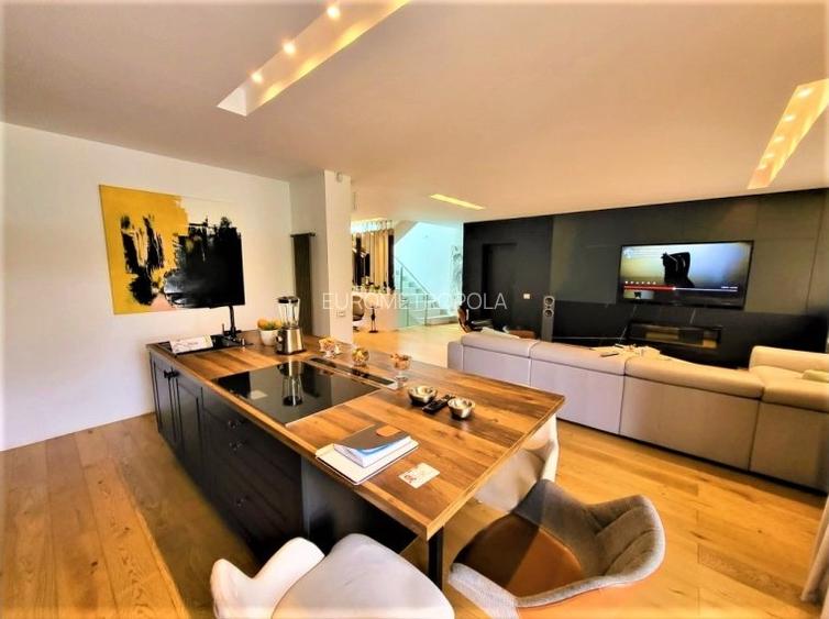 Vila Iancu Nicolae - 5