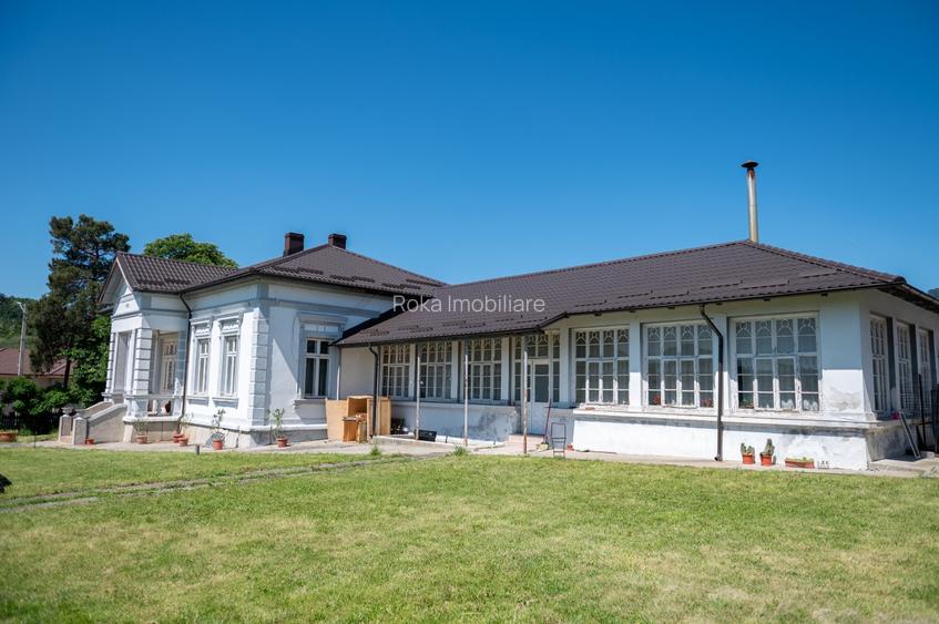 CRAMĂ PREMIUM DE VÂNZARE -60 HA- CONAC ISTORIC- PODGORIA DRĂGĂȘANI - 8