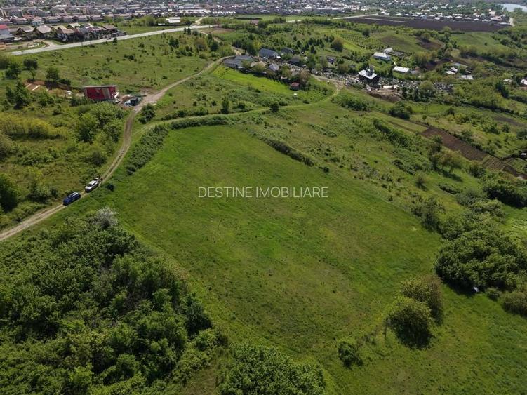 Teren compact intravilan 8000 mp vedere spre Lac, utilități - 5