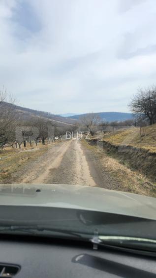 Teren extravilan, 20 de arii, Valea Rusului, pretabil pentru investitie! - 4