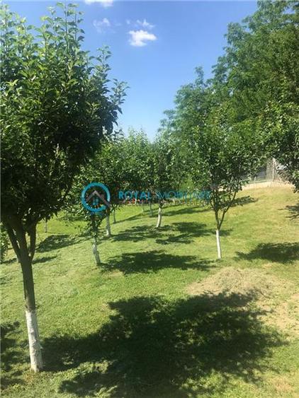 Royal Imobiliare- Vanzare Casa de Vacanta Teisani