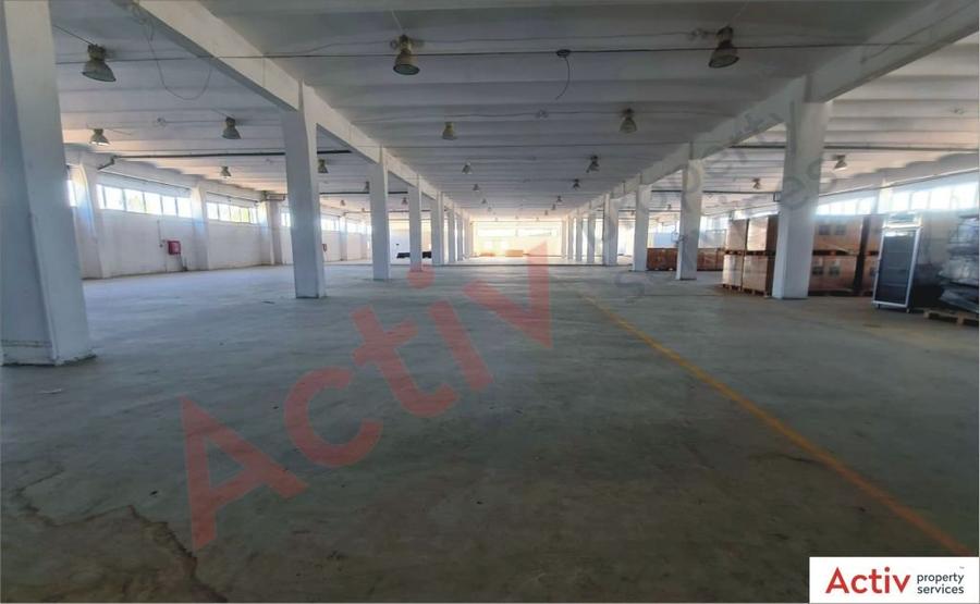 Hale de inchiriat - Ecom Logistic Center