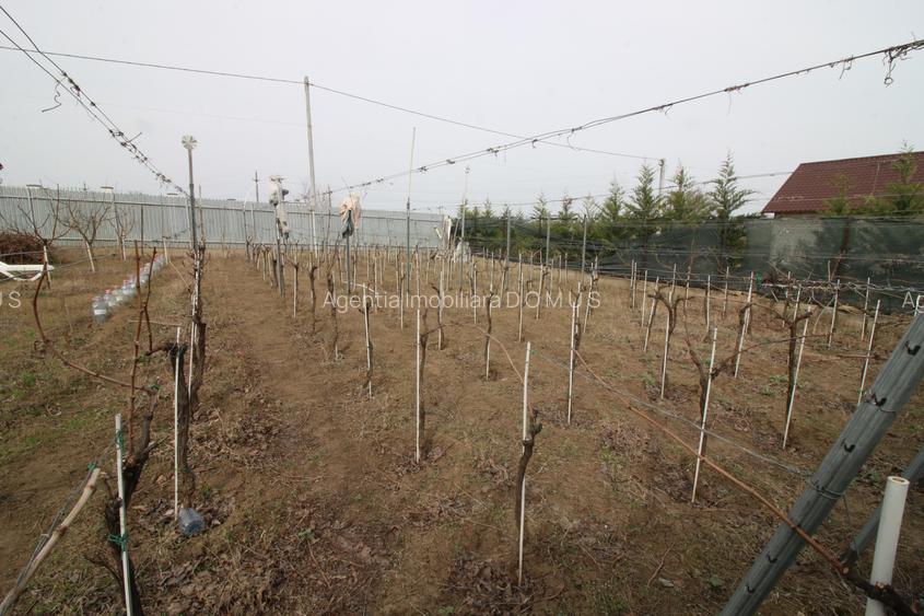Vila D+P+M  Sat Costi ( Floricultura) cu bransamente la utilitati - 3