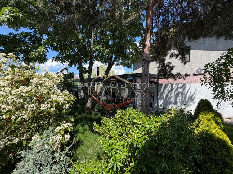 Vila cu 5 camere // * 565 mp gradina* // Tunari - 34