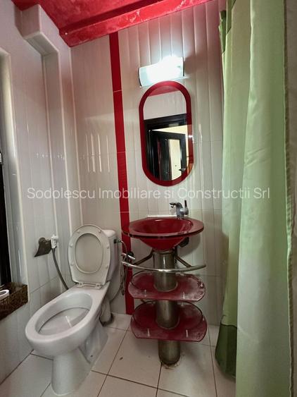 DUPLEX LA INTRARE IN MOSNITA NOUA - 29