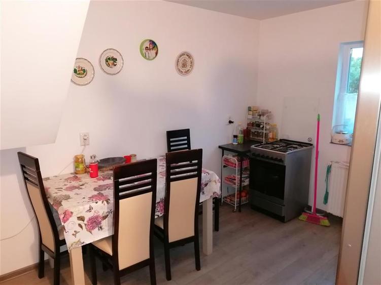 Vila Individuala Sinmihaiul Roman