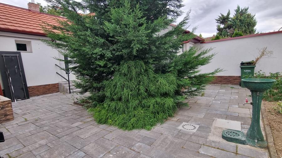 Casa de inchiriat zona semicentrala Avram Iancu
