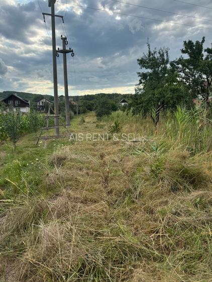 Teren intravilan în zona linistita - 9
