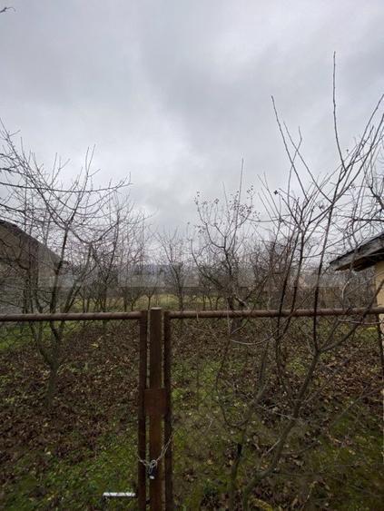 Casă cu anexe și 40 ari de grădină