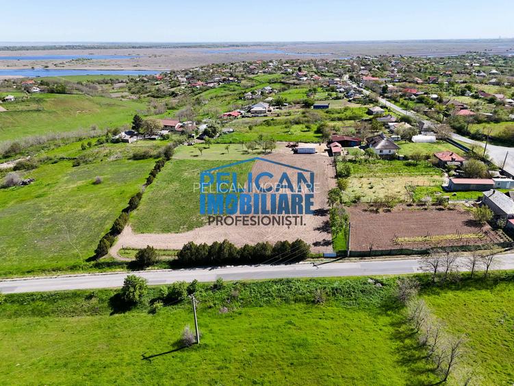 Teren intravilan SOMOVA, zonă deosebită, 5548MP - 9