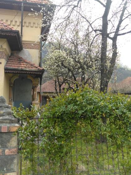 Conac autentic cu arhitectură deosebită!Proprietate cu caracter și teren 7.817mp