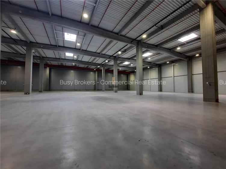 Spatiu Industrial - 5000 mp - Logistica - Productie - Depozitare - Distributie - 3