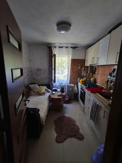 Apartament 2 camere DECOMANDAT, Nicolina Belvedere RENOVAT