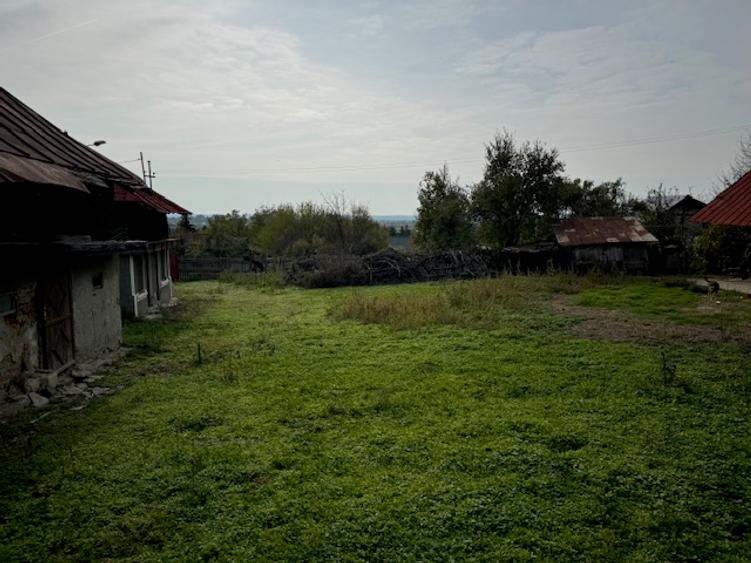 Pitesti-Stefanesti-Crama Stefanesti teren de vanzare Comiaion 0