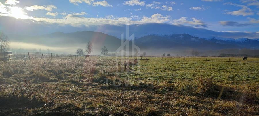 Teren intravilan de vânzare | Valea Avrigului-Porumbacu de Jos