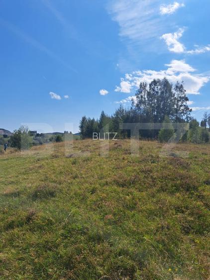 Teren extravilan 4.604 mp cu curent – ideal pentru cabană, zona Trans Apuseana - 3