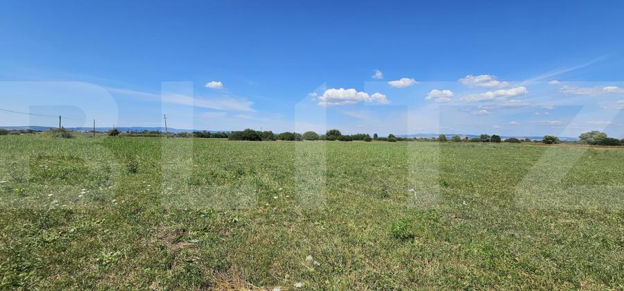 Teren agricol, 7 hectare, zona Ozun